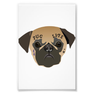 Pug Lovers Cute Pug Life Photo Print