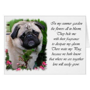 Pug Lovers Gifts