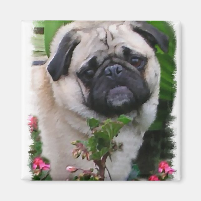 Pug Lovers Gifts Magnet (Front)