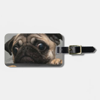 Pug Luggage Tag