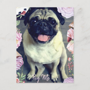 Pug Me - Happy Pug Postcard