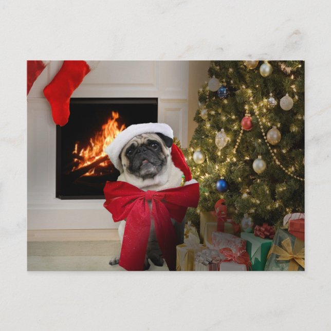 Pug Misha Christmas Card (Front)