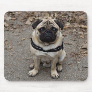 Pug Mouse Pad