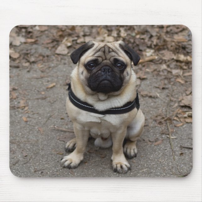 Pug Mouse Pad (Front)