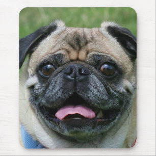 Pug  mousepad