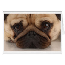 Pug Mug Card