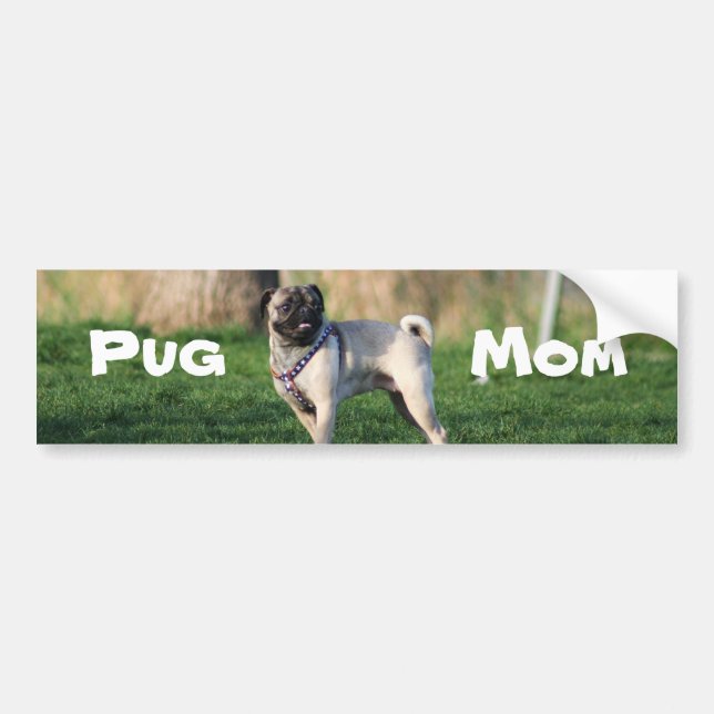 Pug mum bumper sticker (Front)