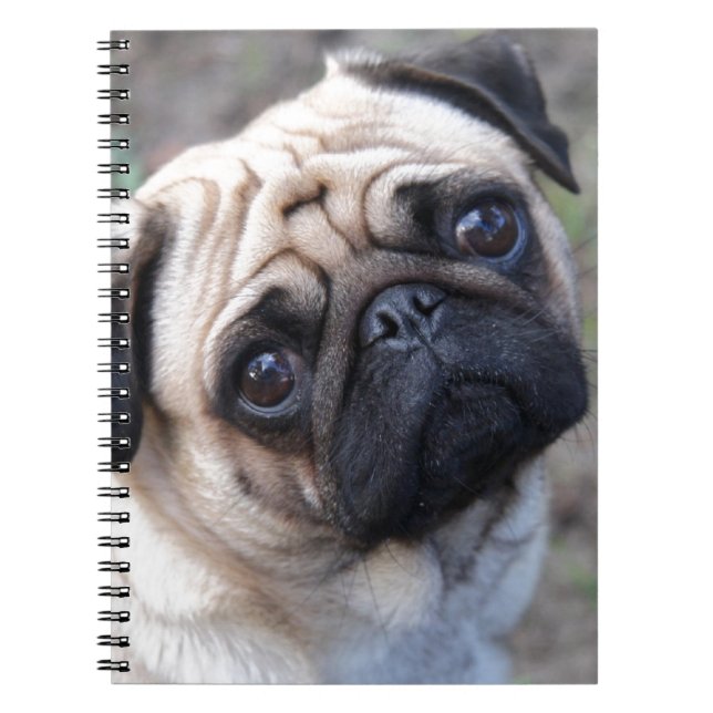 PUG NOTEBOOK (Front)