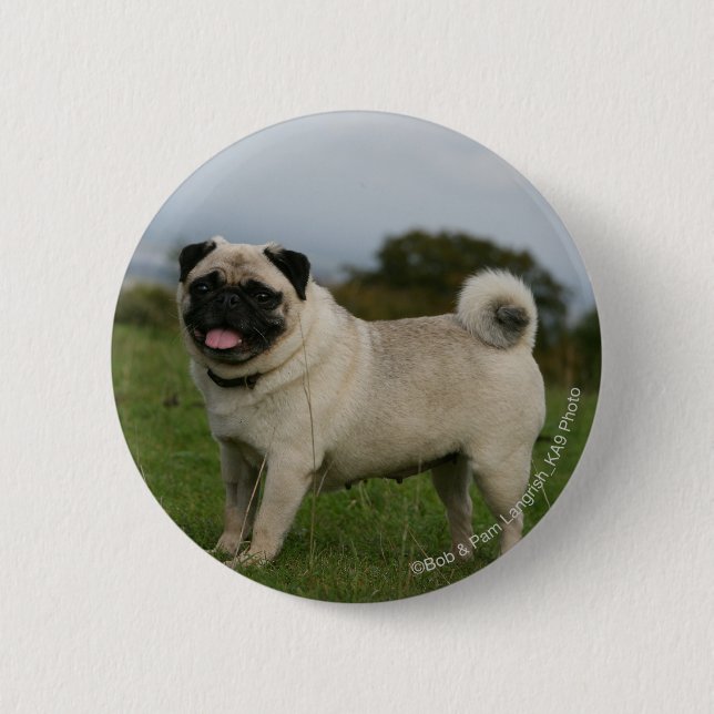 Pug Panting 6 Cm Round Badge (Front)