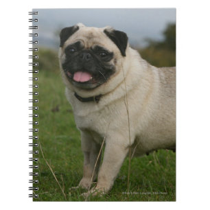 Pug Panting Notebook