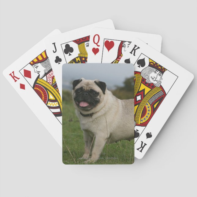 Pug Panting Playing Cards (Back)