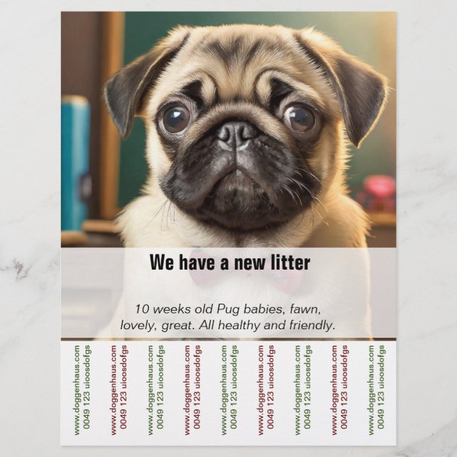 Pug pappy selling Ripp Off Flyer (Front)