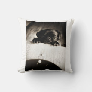 pug peeking in bw cushion
