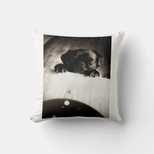 pug peeking in bw cushion (Front)