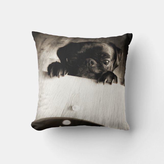 pug peeking in bw cushion (Front)