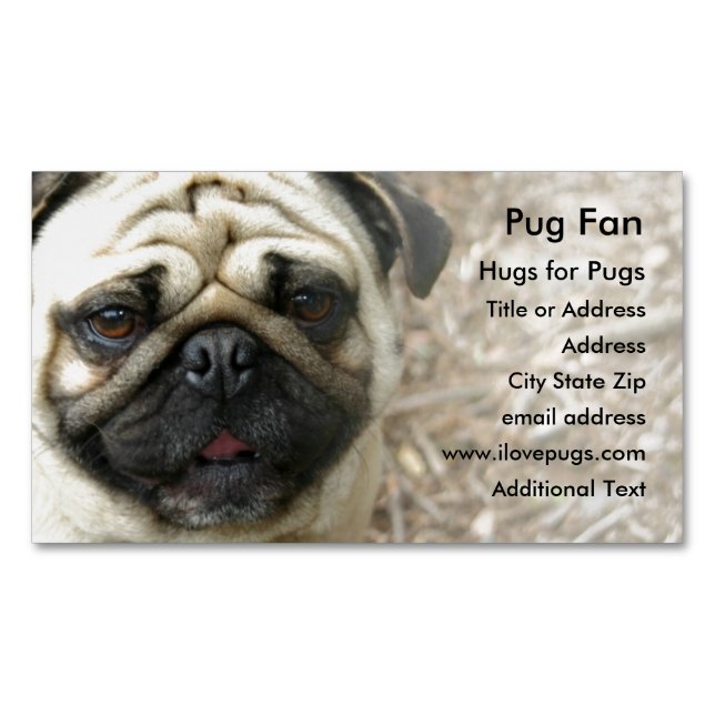 Pug Photo - Magnet Business Card (Front)