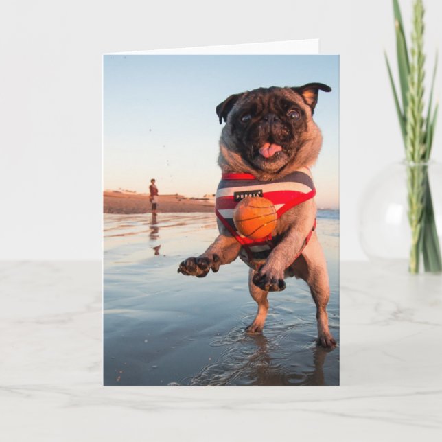 Pug Playing Ball on Beach Card (Front)