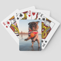 Pug Playing Ball on Beach