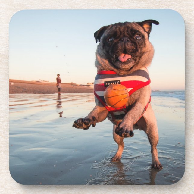 Pug Playing Ball on Beach Coaster (Front)