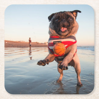 Pug Playing Ball on Beach Square Paper Coaster