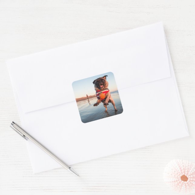 Pug Playing Ball on Beach Square Sticker (Envelope)