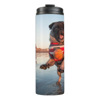 Pug Playing Ball on Beach