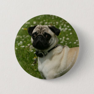 Pug Playing in Flowers 6 Cm Round Badge
