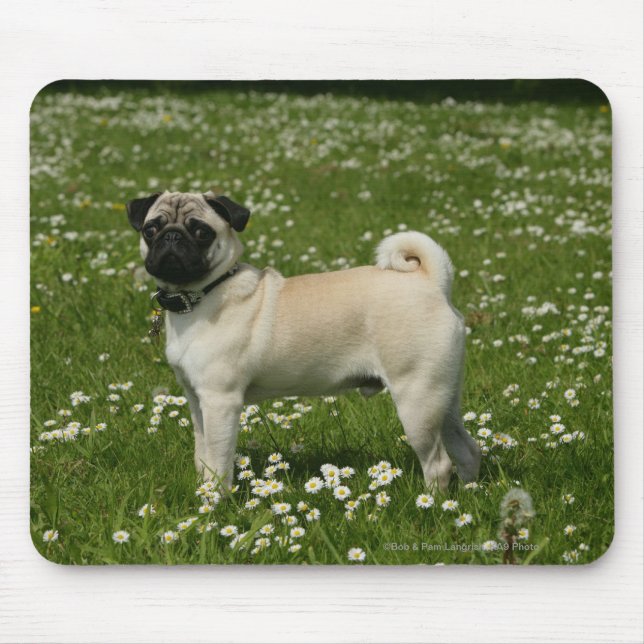Pug Playing in Flowers Mouse Pad (Front)