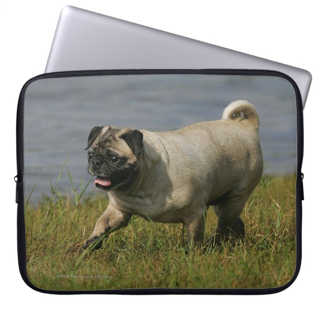 Pug Playing Near Water Laptop Sleeve (Front)