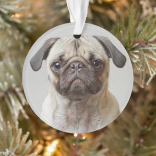 Pug Portrait Ornament