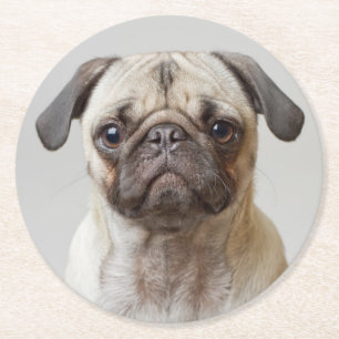 Pug Portrait Round Paper Coaster