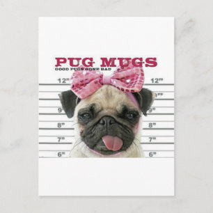 Pug Postcard