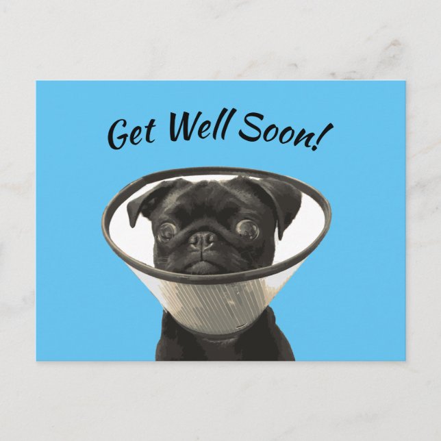 Pug Postcard (Front)