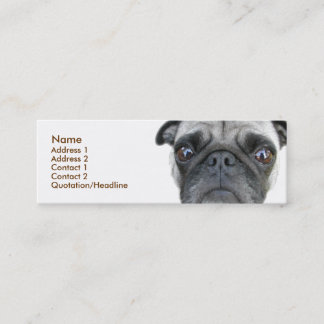 Pug Profile Card
