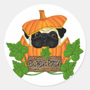 Pug Pumpkin Patch Classic Round Sticker