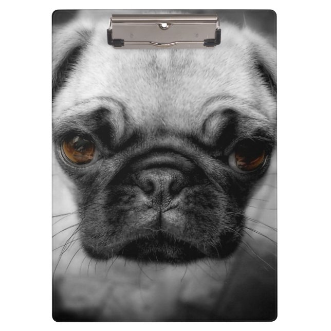 Pug Pup Clipboard (Front)