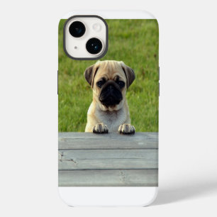 Pug Pup Cute Photo iPhone 14 Case