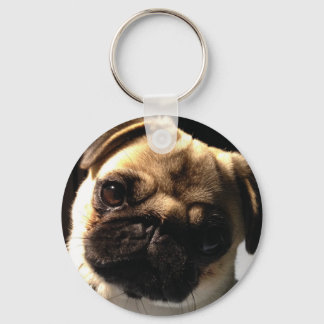 Pug pup keychain