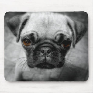 Pug Pup Mouse Pad