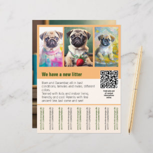 Pug puppies for sale flyer template QR code
