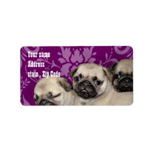 Pug Puppies Label