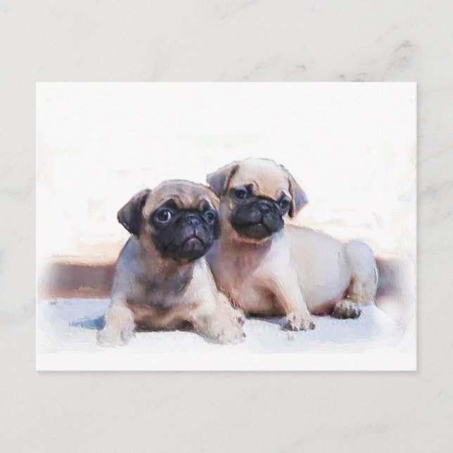 Pug puppies postcard (Front)