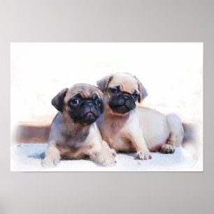 Pug puppies poster