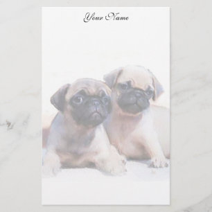 Pug puppies stationary stationery