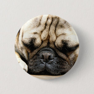 Pug puppy 6 cm round badge