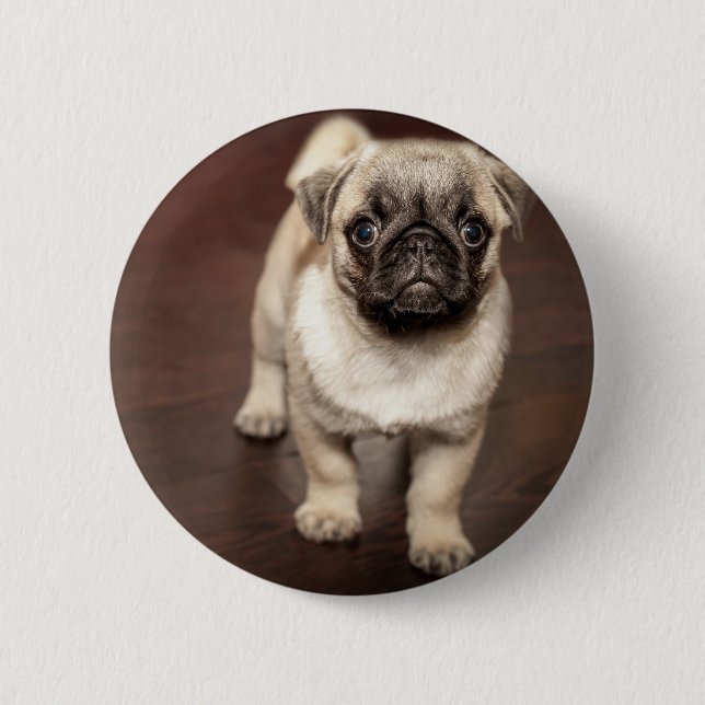 Pug Puppy 6 Cm Round Badge (Front)