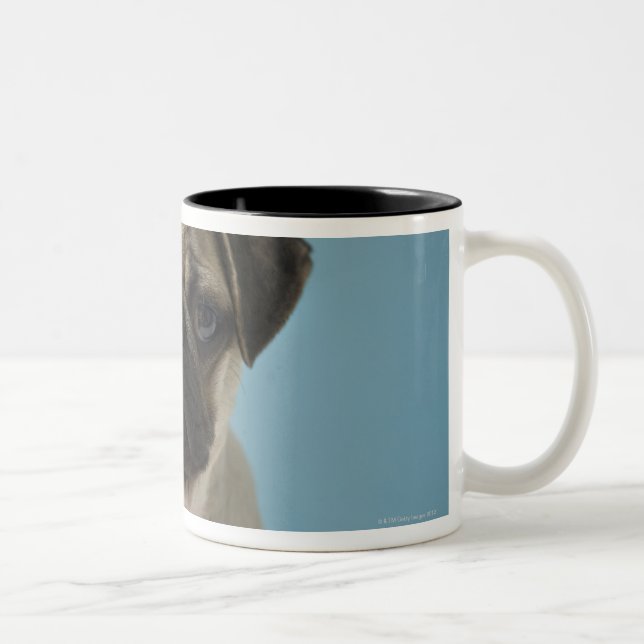 Pug Puppy Against Blue Background Two-Tone Coffee Mug (Right)