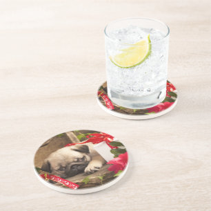 Pug Puppy and Gift  Box Coaster