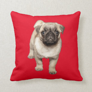 Pug Puppy Custom Background Colour Cushion