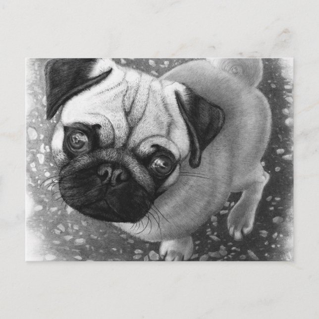 Pug Puppy Dog Art Postcard (Front)